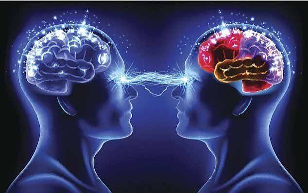 القاءپذیری در جوامع چیست؟