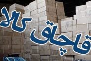 مبارزه با قاچاق کالا: ضرورتی حیاتی برای نجات اقتصاد ملی