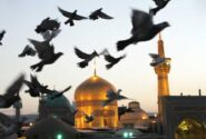 امام رضا (ع): خورشید خراسان