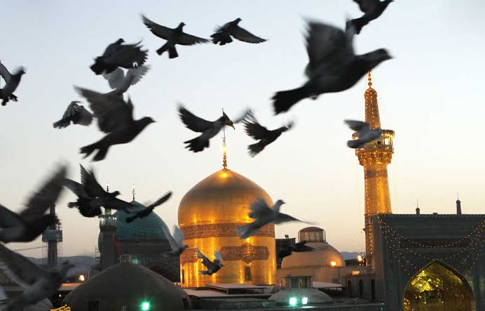امام رضا (ع): خورشید خراسان