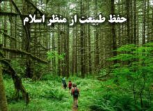 مراقبت از طبیعت در اسلام: امانتی الهی و رسالتی انسانی