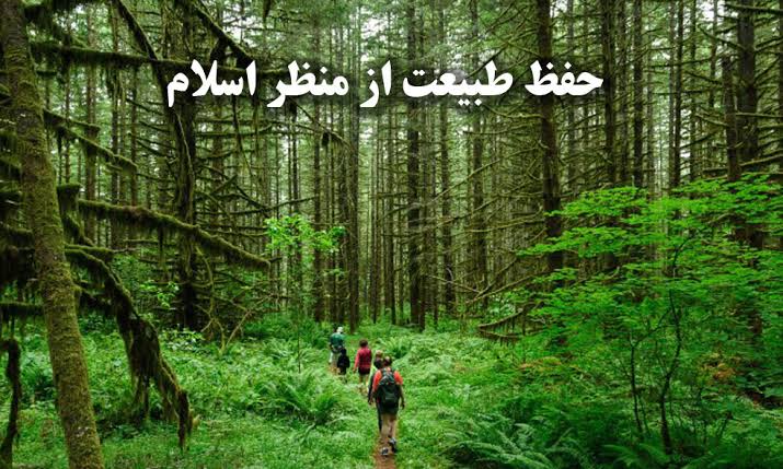 مراقبت از طبیعت در اسلام: امانتی الهی و رسالتی انسانی