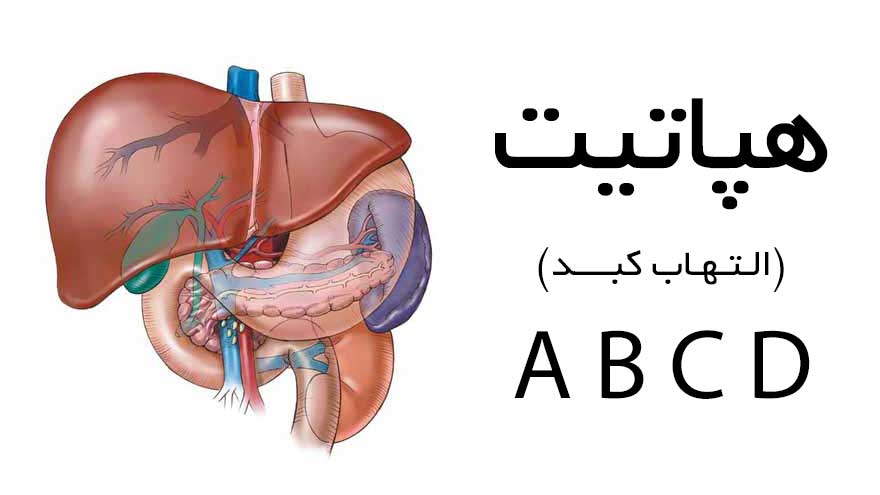 هپاتیت چیست؟