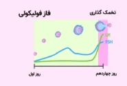 احتمال بارداری چند روز بعد از پریود؟