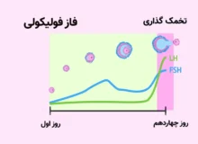 احتمال بارداری چند روز بعد از پریود؟