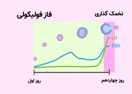 احتمال بارداری چند روز بعد از پریود؟